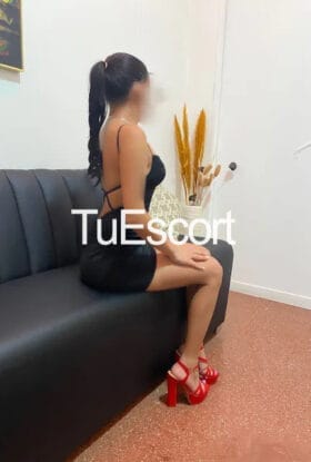 Catalina latina