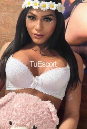Sarah TRANS