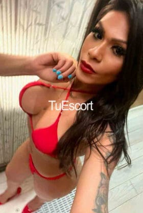 Sarah TRANS